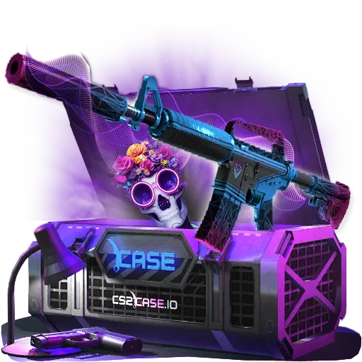 case preview