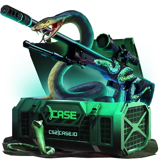 case preview
