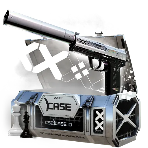 case preview
