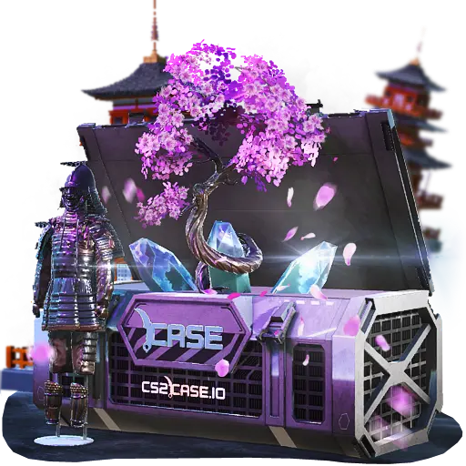 case preview