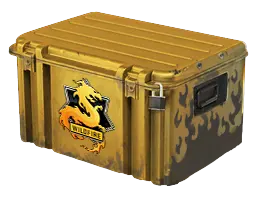 case preview