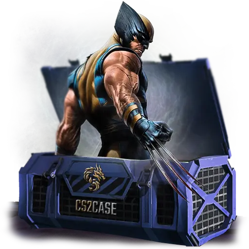 case preview