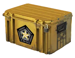 case preview