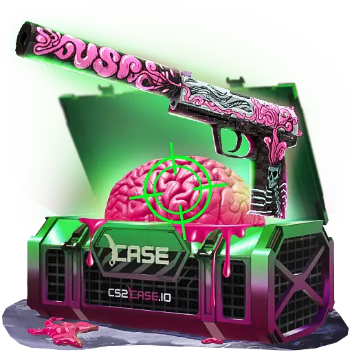 case preview