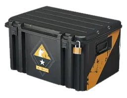 case preview