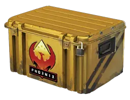 case preview