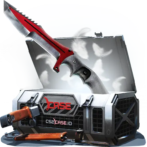 case preview