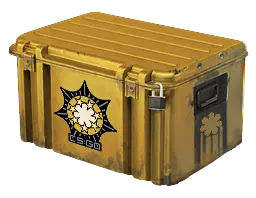 case preview