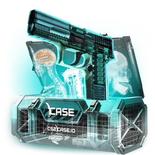 case preview