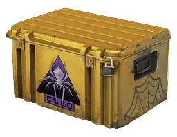 case preview