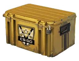 case preview