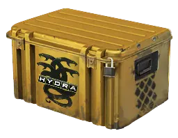 case preview