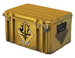case preview