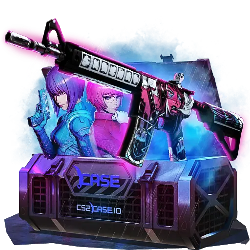 case preview