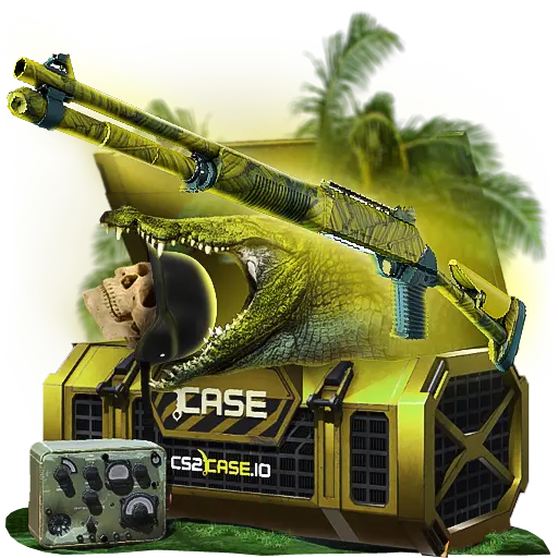 case preview