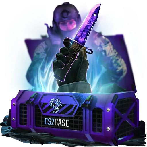 case preview