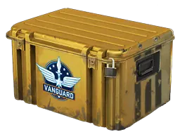 case preview