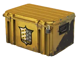case preview