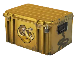 case preview