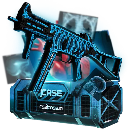 case preview