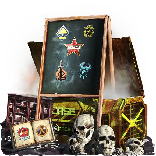 case preview