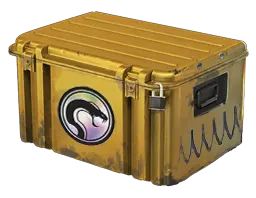 case preview