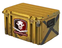 case preview