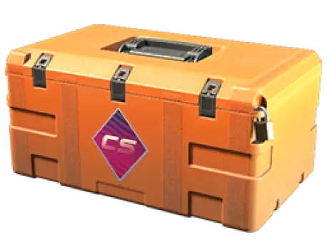 case preview