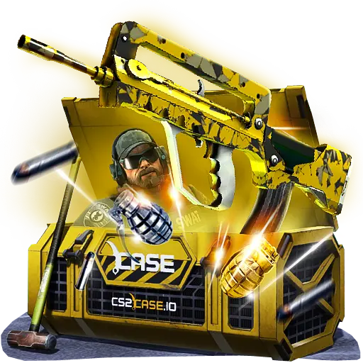 case preview