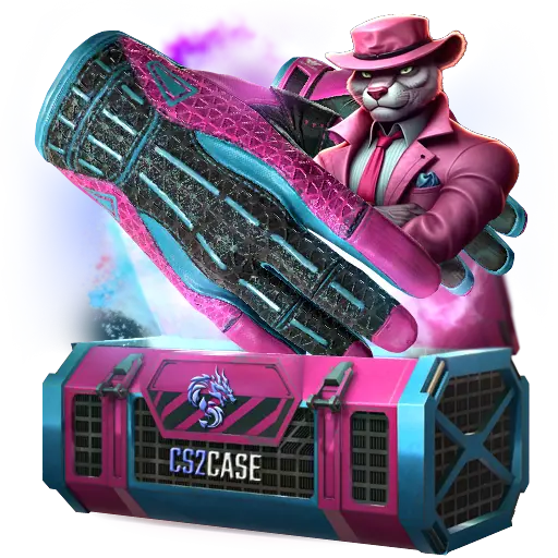case preview